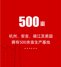加载出错